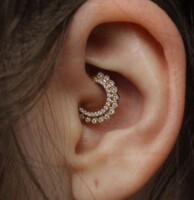 Daith piercing pictures