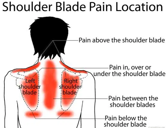 Pain under shoulder blade 