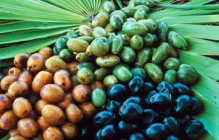 Does saw palmetto stop hair loss
