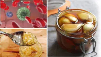 How to boost immunity with garlic and honey