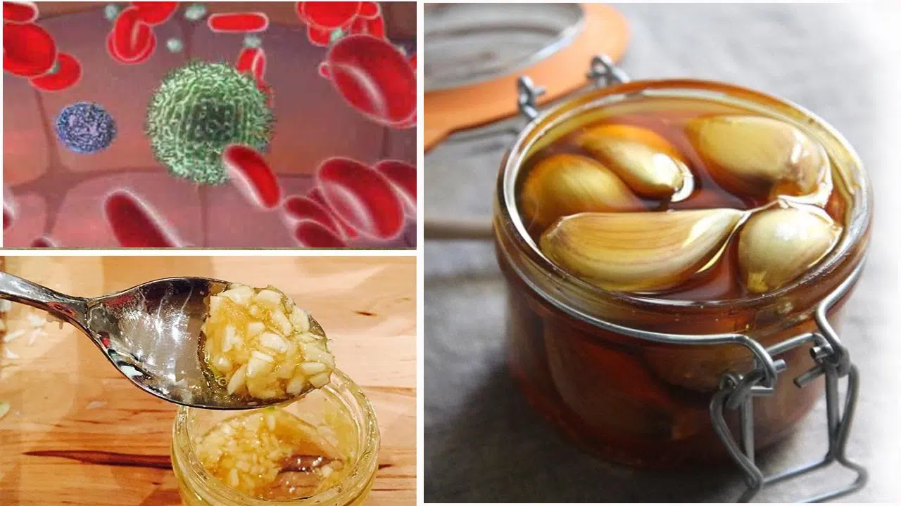 How to boost immunity with garlic and honey