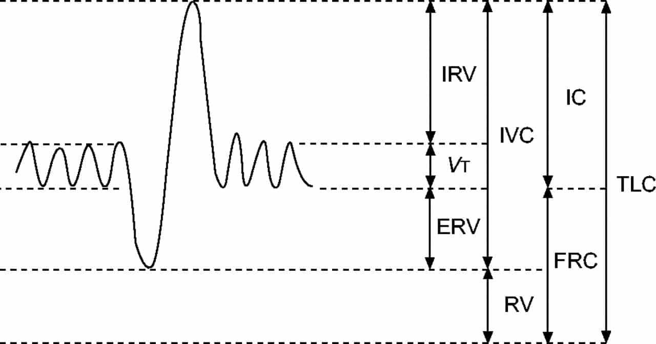 what-is-inspiratory-reserve-volume-and-how-is-it-measured-treat